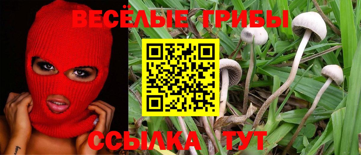 Галлюциногенные грибы Cubensis Тольятти
